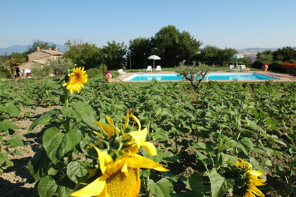 Willa Agriturismo Poggio Porsenna - Con Piscina Proceno Zewnętrze zdjęcie