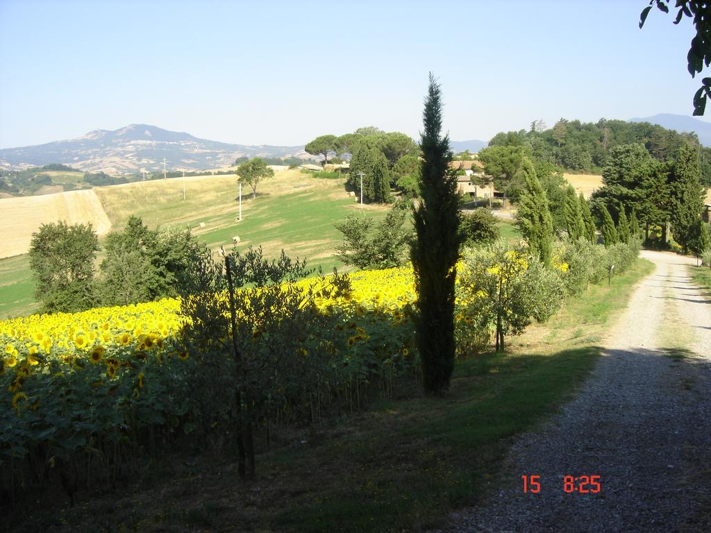 Willa Agriturismo Poggio Porsenna - Con Piscina Proceno Zewnętrze zdjęcie